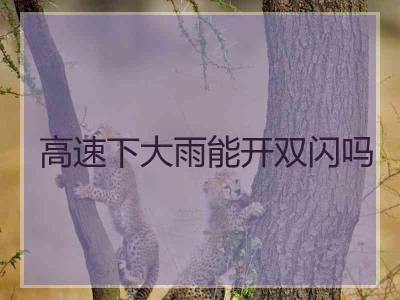 高速下大雨能开双闪吗