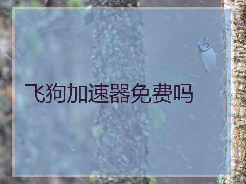 飞狗加速器免费吗