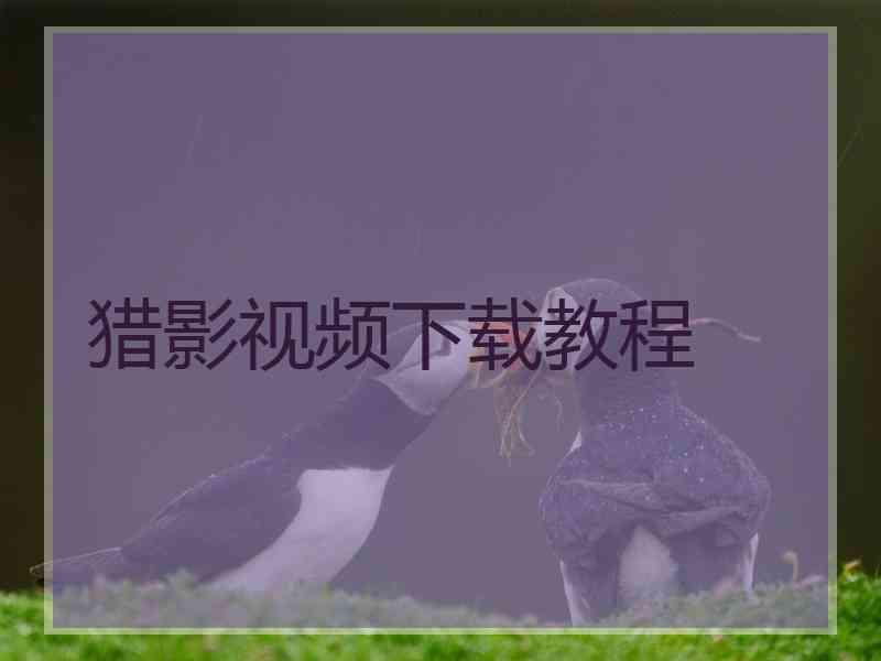 猎影视频下载教程