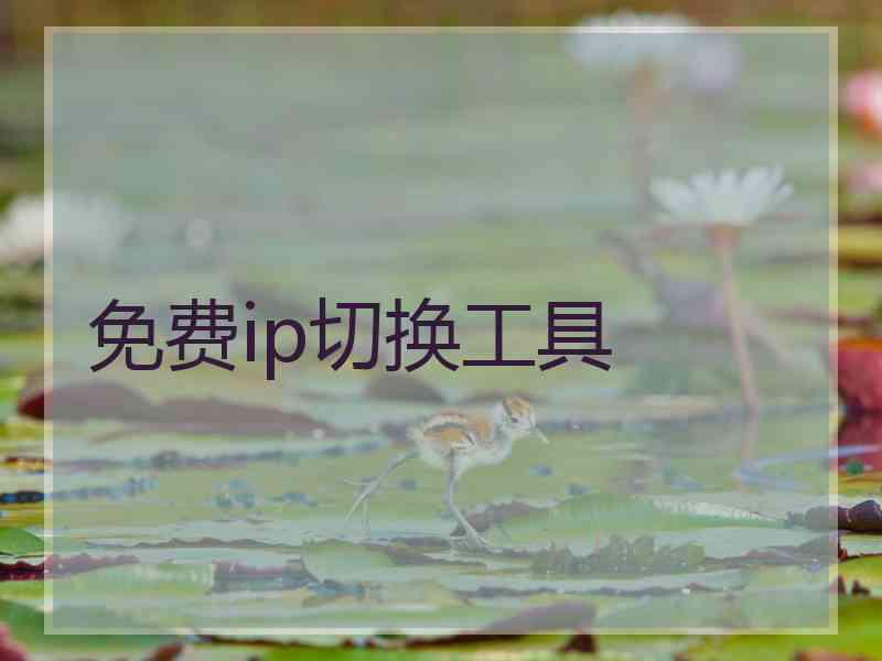 免费ip切换工具