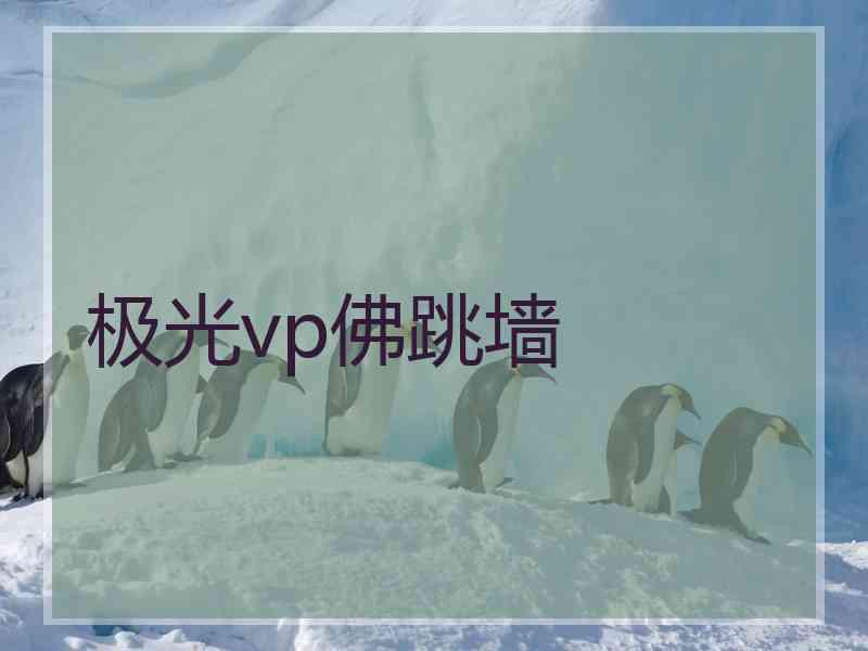 极光vp佛跳墙