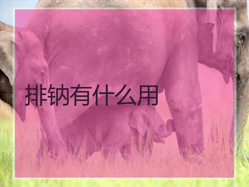 排钠有什么用