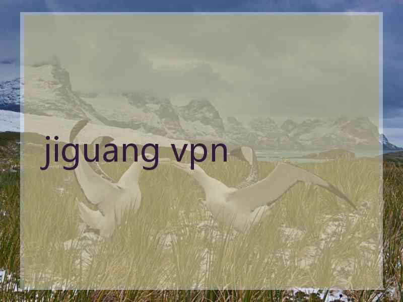 jiguang vpn