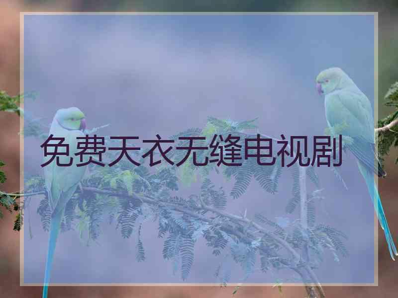 免费天衣无缝电视剧