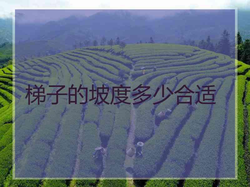 梯子的坡度多少合适