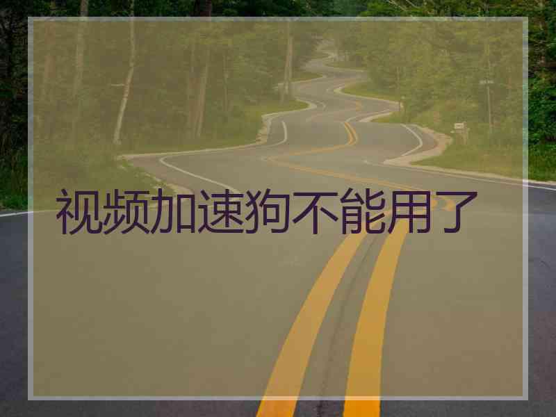 视频加速狗不能用了