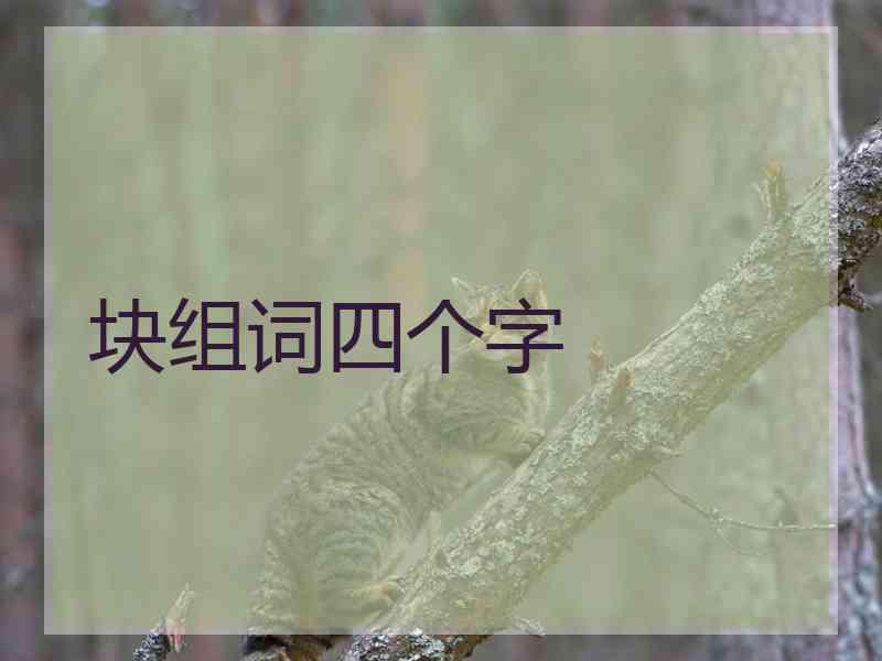 块组词四个字