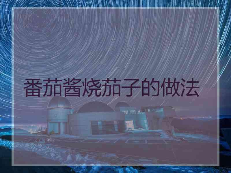 番茄酱烧茄子的做法
