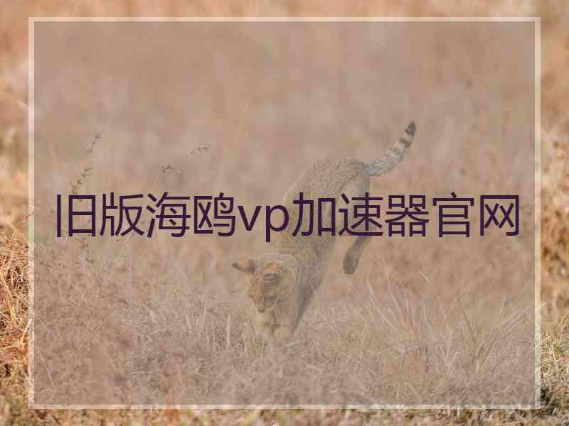 旧版海鸥vp加速器官网