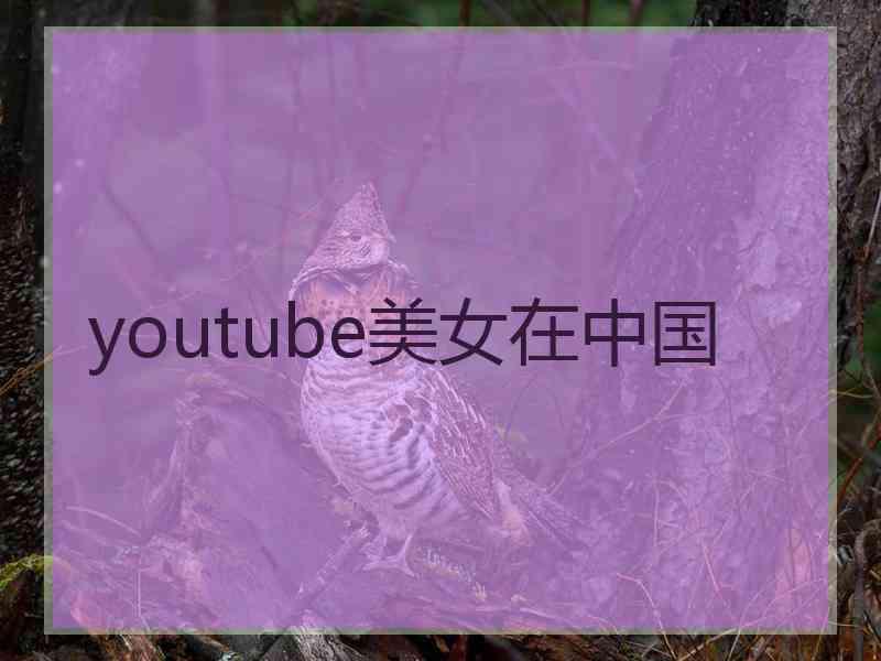 youtube美女在中国