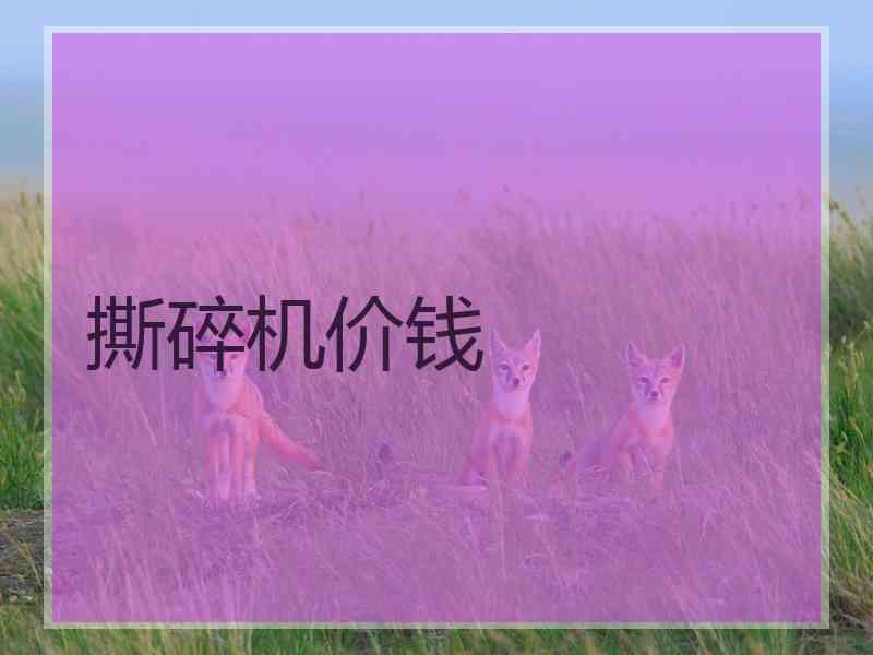 撕碎机价钱