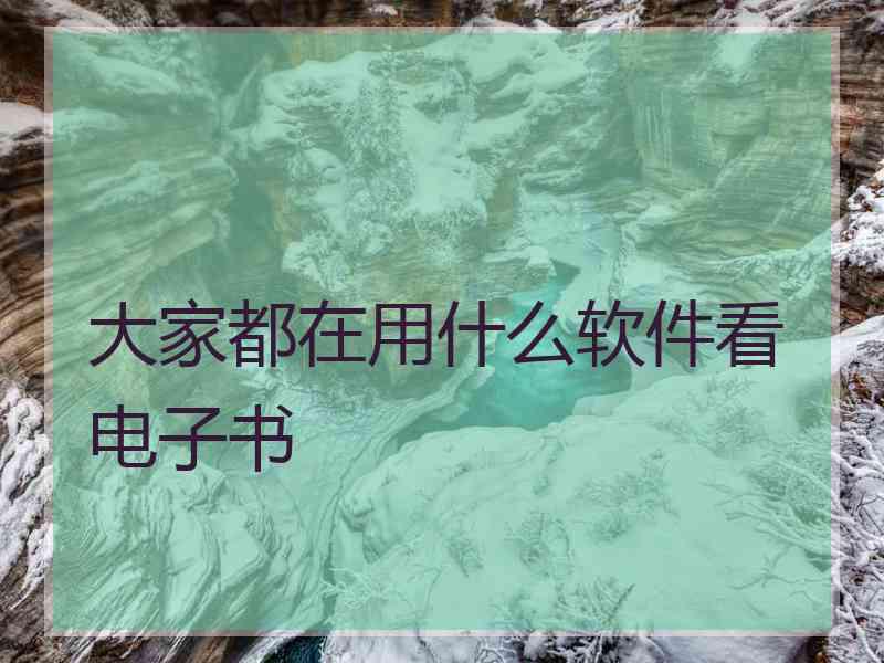 大家都在用什么软件看电子书