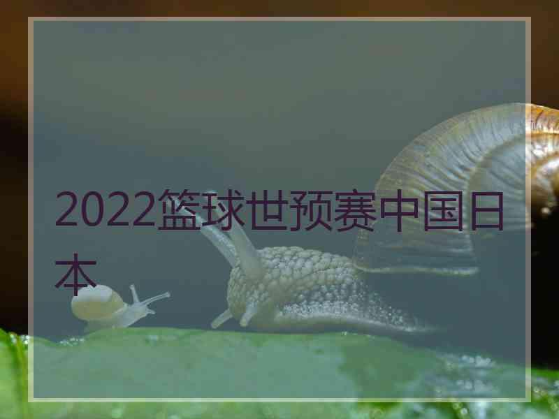 2022篮球世预赛中国日本