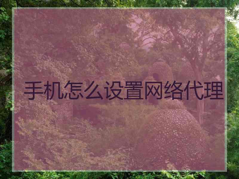 手机怎么设置网络代理