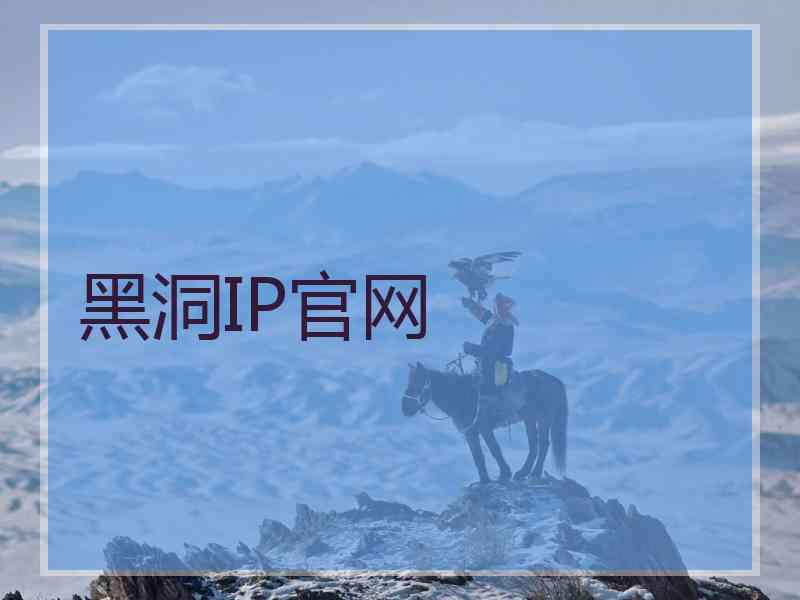 黑洞IP官网