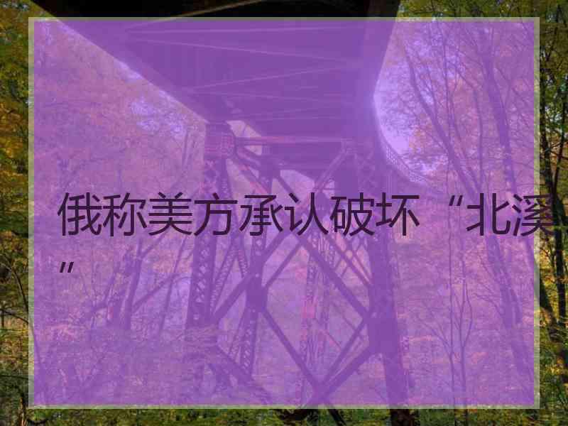 俄称美方承认破坏“北溪”