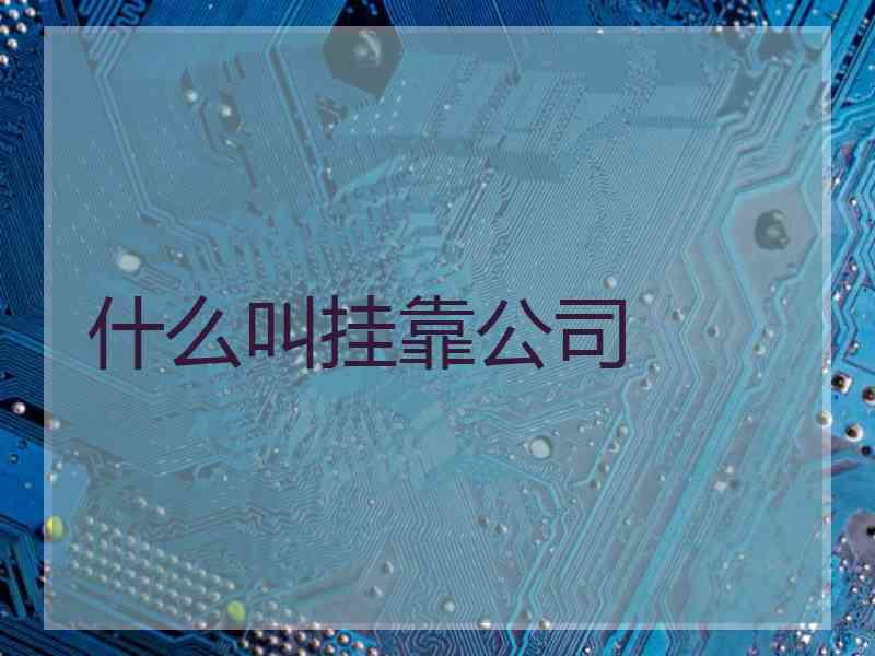 什么叫挂靠公司