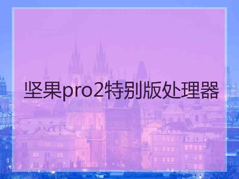 坚果pro2特别版处理器