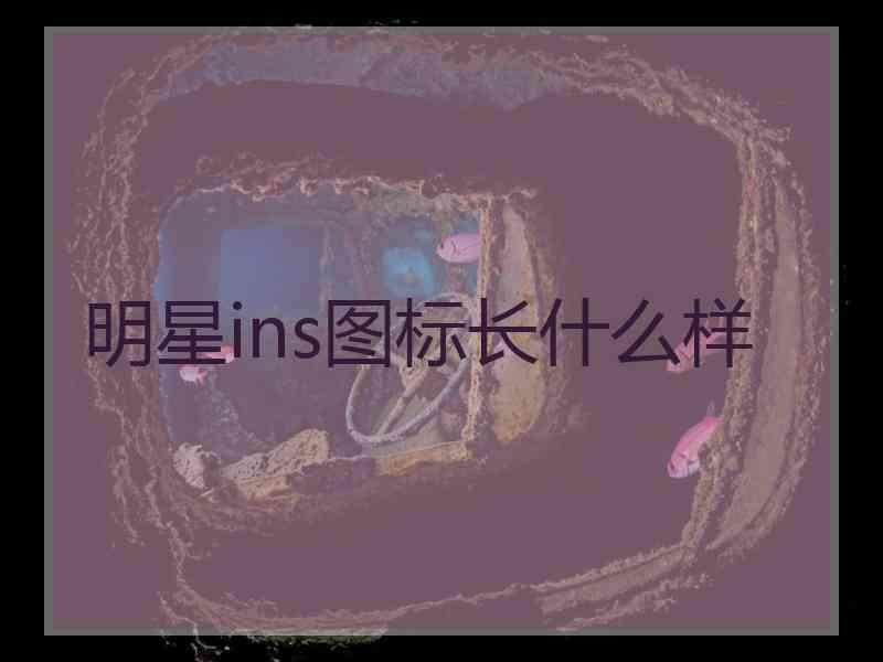 明星ins图标长什么样