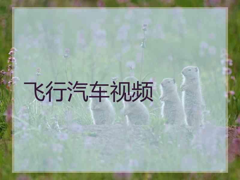飞行汽车视频