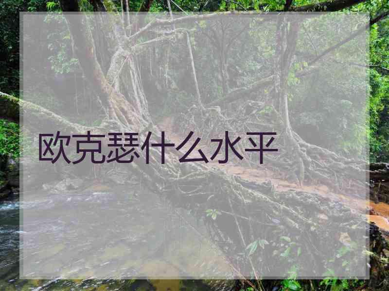 欧克瑟什么水平