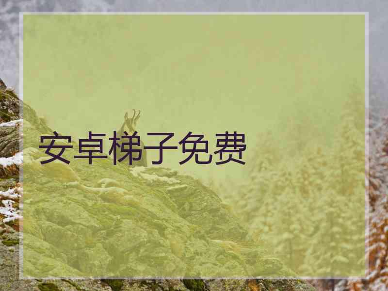 安卓梯子免费