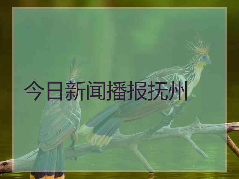 今日新闻播报抚州