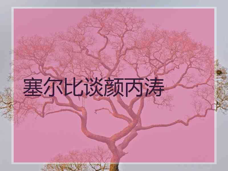 塞尔比谈颜丙涛