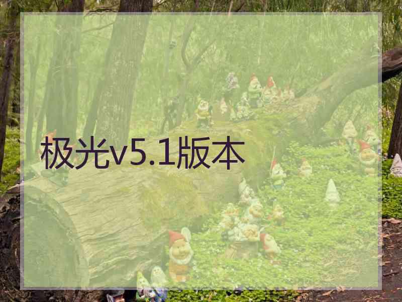 极光v5.1版本