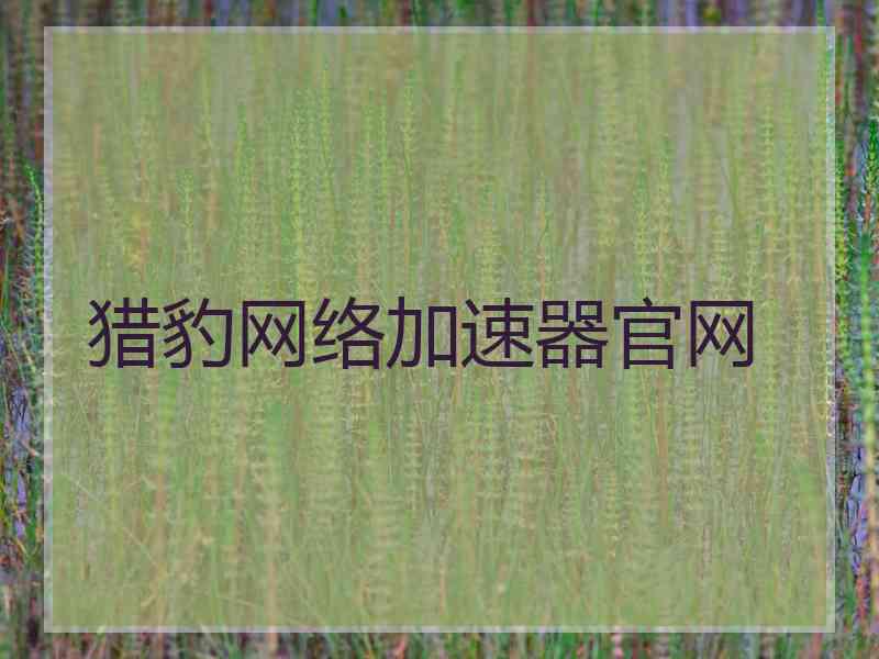 猎豹网络加速器官网