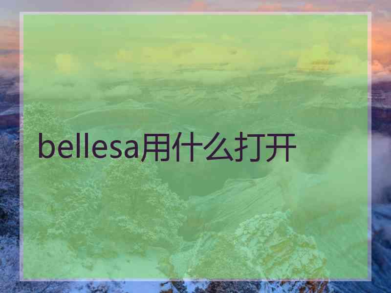 bellesa用什么打开