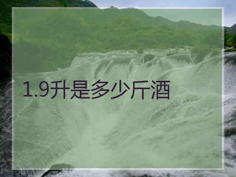 1.9升是多少斤酒