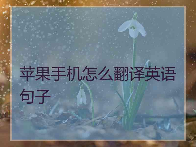 苹果手机怎么翻译英语句子