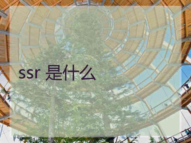 ssr 是什么