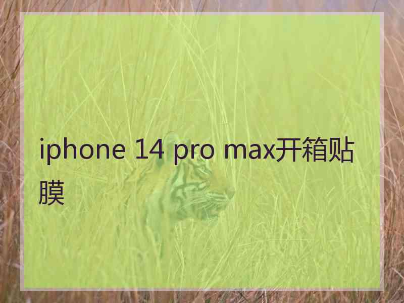 iphone 14 pro max开箱贴膜