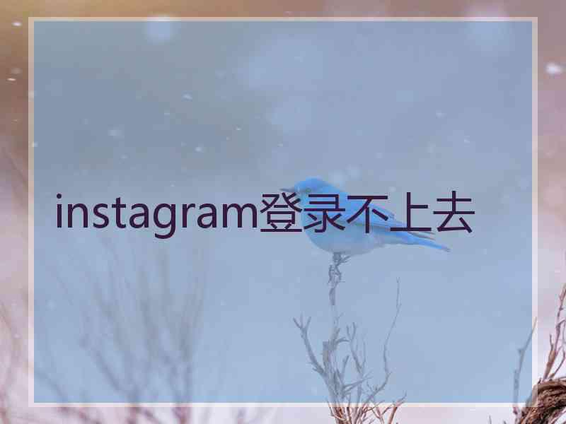 instagram登录不上去