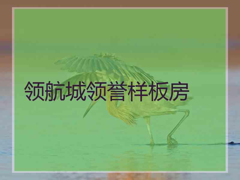领航城领誉样板房