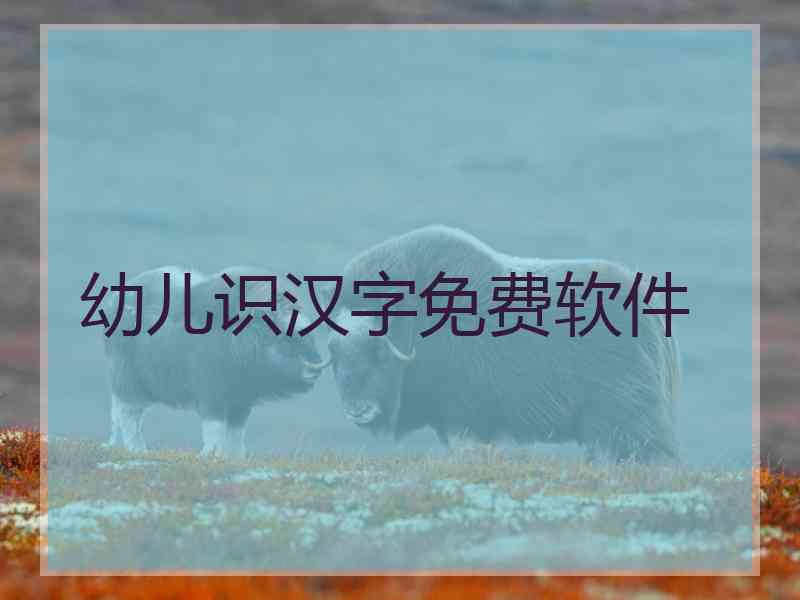 幼儿识汉字免费软件