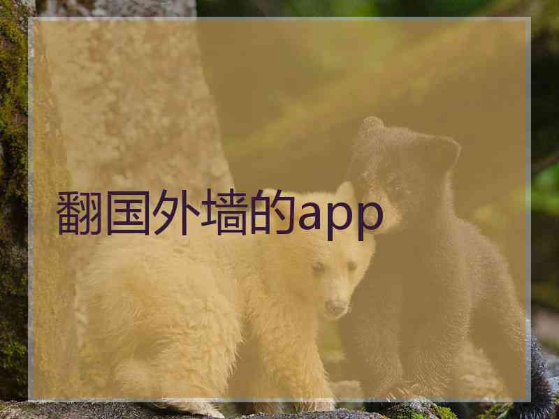 翻国外墙的app