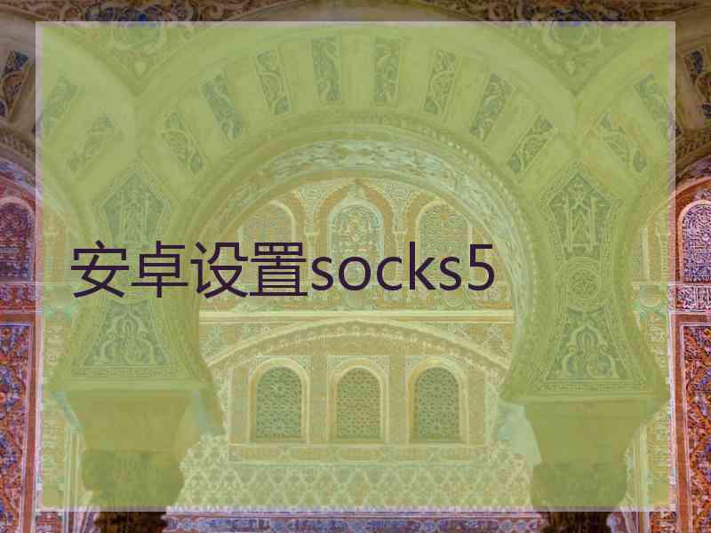 安卓设置socks5