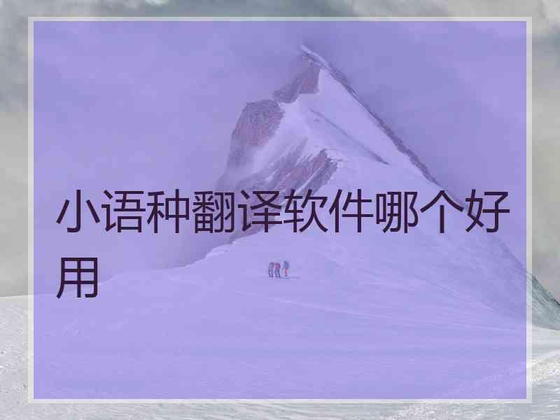 小语种翻译软件哪个好用
