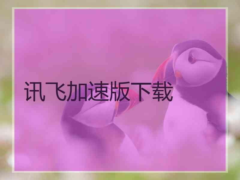 讯飞加速版下载