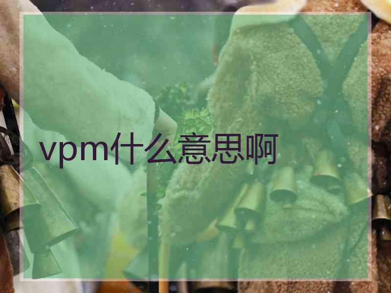 vpm什么意思啊