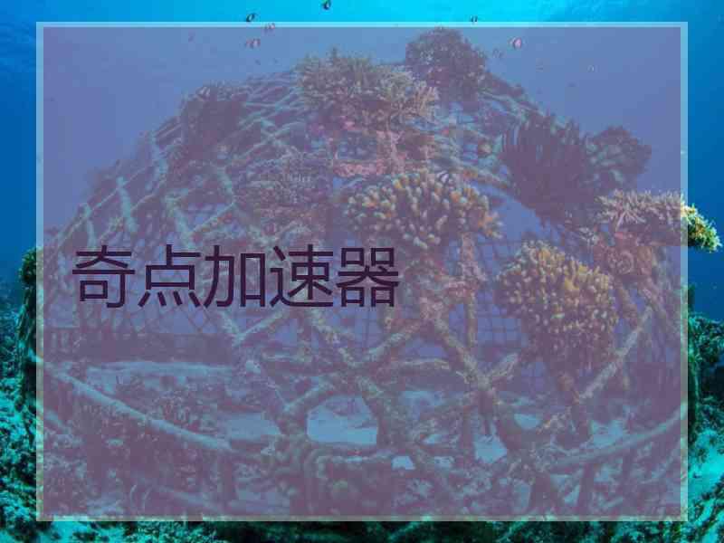 奇点加速器