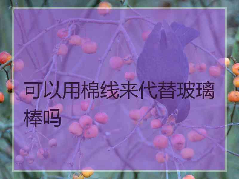 可以用棉线来代替玻璃棒吗