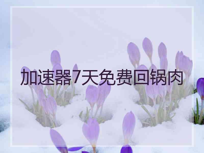 加速器7天免费回锅肉
