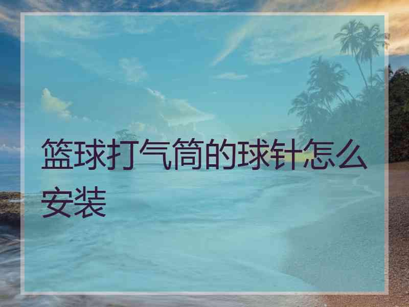 篮球打气筒的球针怎么安装