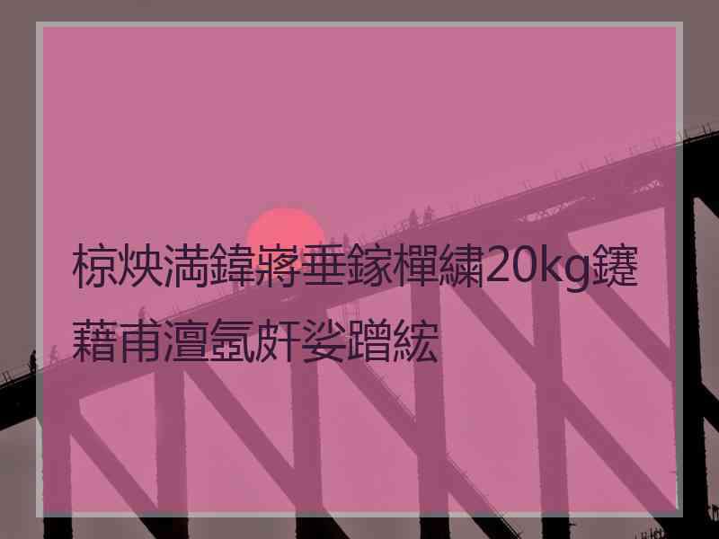 椋炴満鍏嶈垂鎵樿繍20kg鑳藉甫澶氬皯娑蹭綋