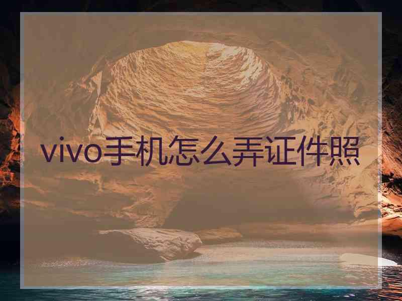 vivo手机怎么弄证件照