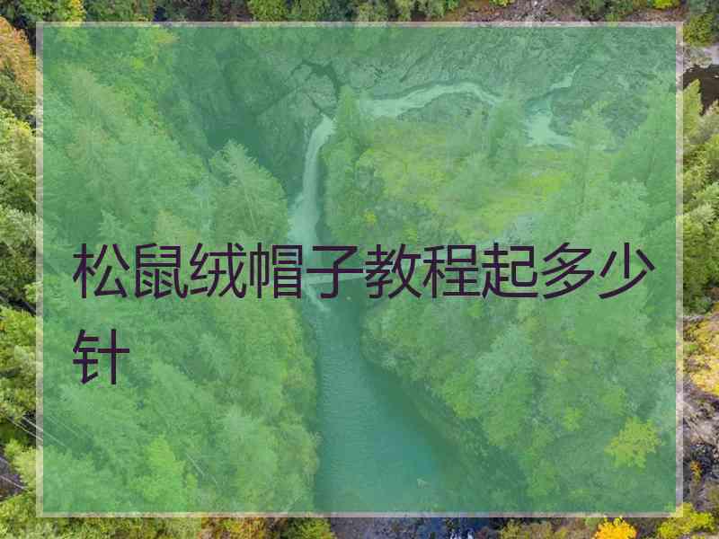 松鼠绒帽子教程起多少针
